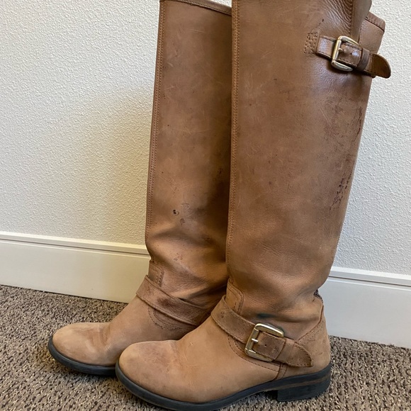 Steve Madden Shoes Steve Madden Riding Boots Poshmark